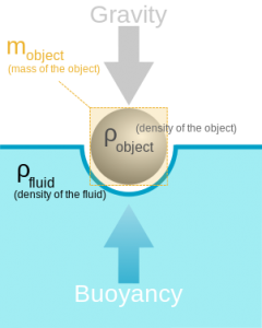  Archimedes’ principle